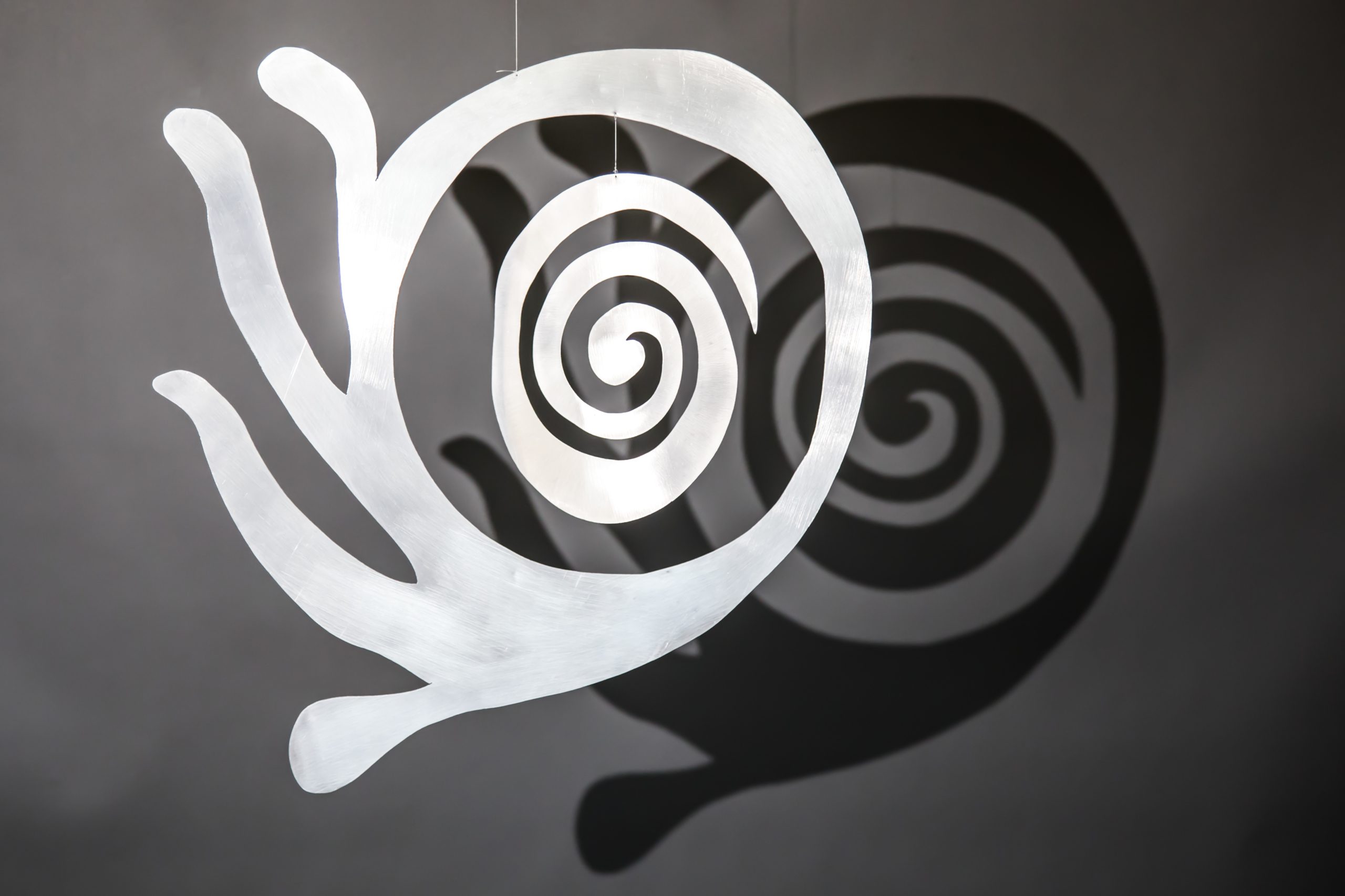 Jeff Sugar Art - Spiral Inside