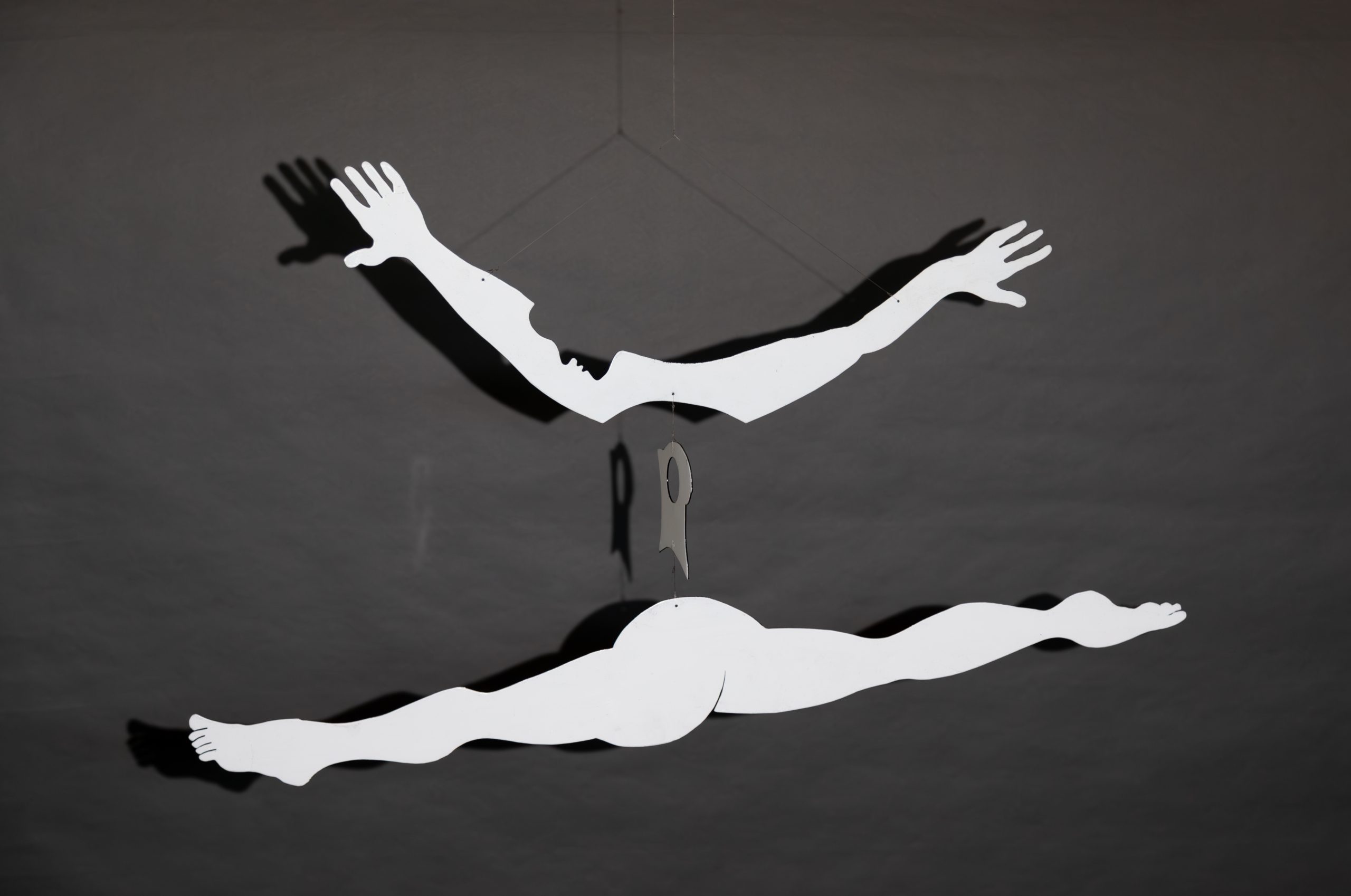 Simone Leaping and Aluminum